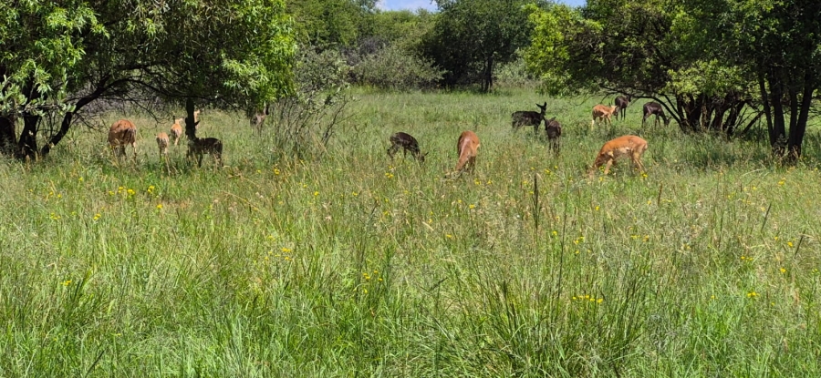 5 Bedroom Property for Sale in Rustenburg Rural North West